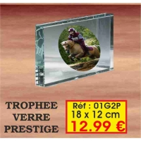 TROPHEE VERRE PRESTIGE : REF. 01G2P - 18 x 12 CM